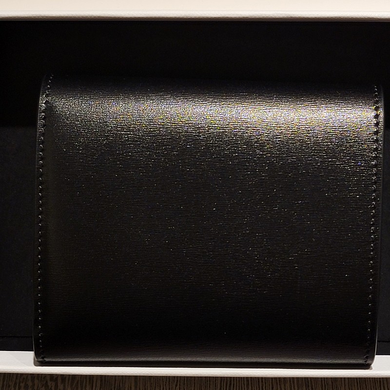 Celine 亮面牛皮革小型TRIOMPHE銀包(黝黑色，9成新，日本專櫃購入）-8