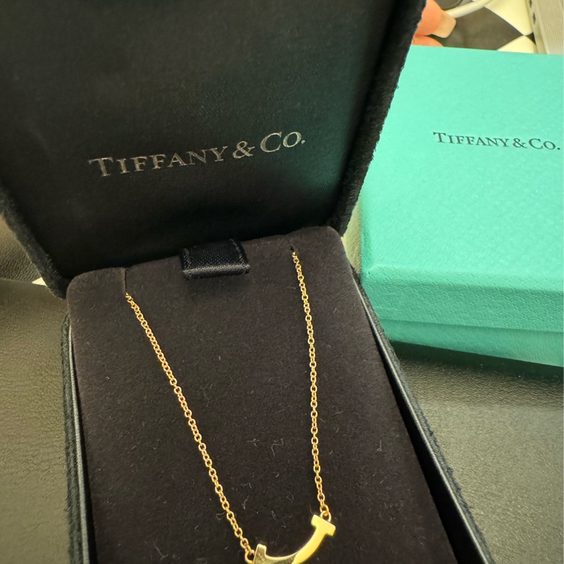 Tiffany&co. smile 微笑項鍊 迷你無鑽-10