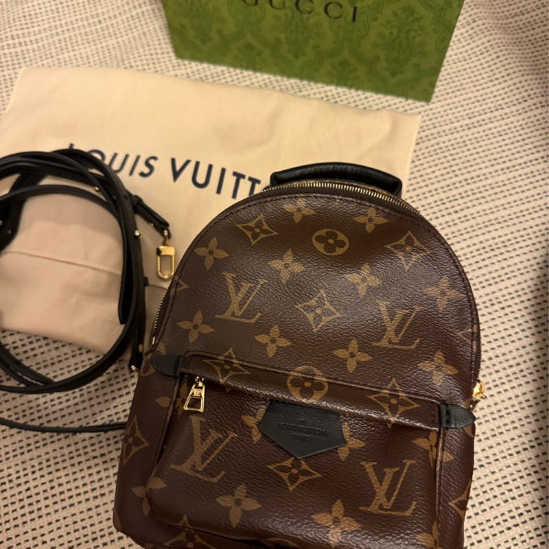 LV Palm Springs Mini-1