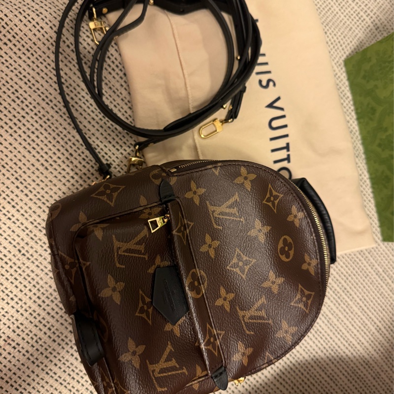 LV Palm Springs Mini-2