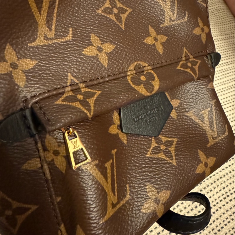 LV Palm Springs Mini-3