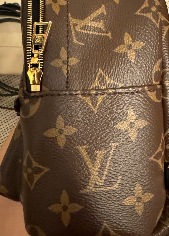 LV Palm Springs Mini-6