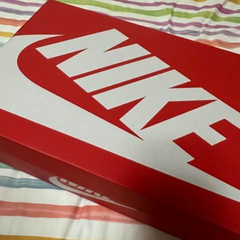 NIKE DUNK熊貓