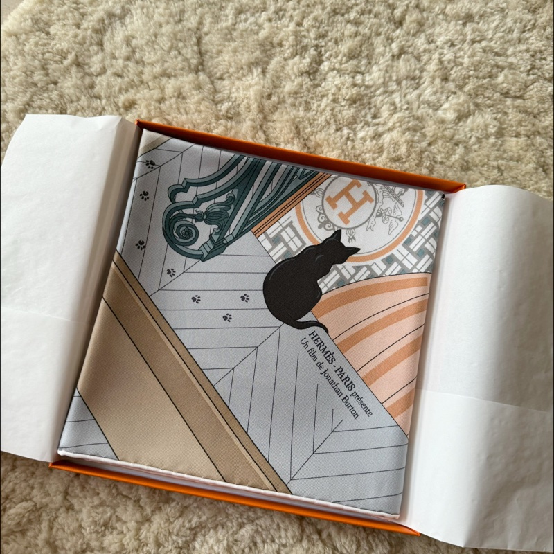 Hermès 90x90絲巾 24號之謎-21