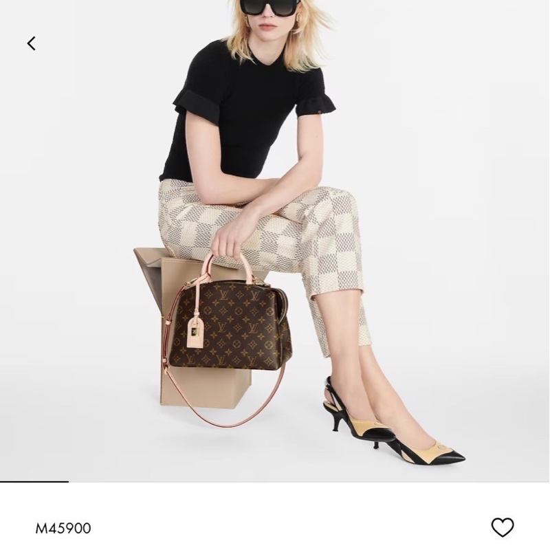 LV Petit Palais PM 小號 M45900-5