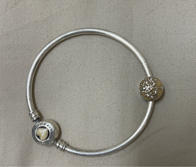 Pandora手環-2