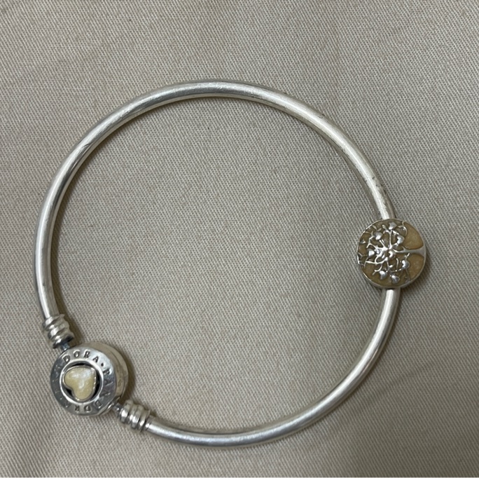 Pandora手環-5