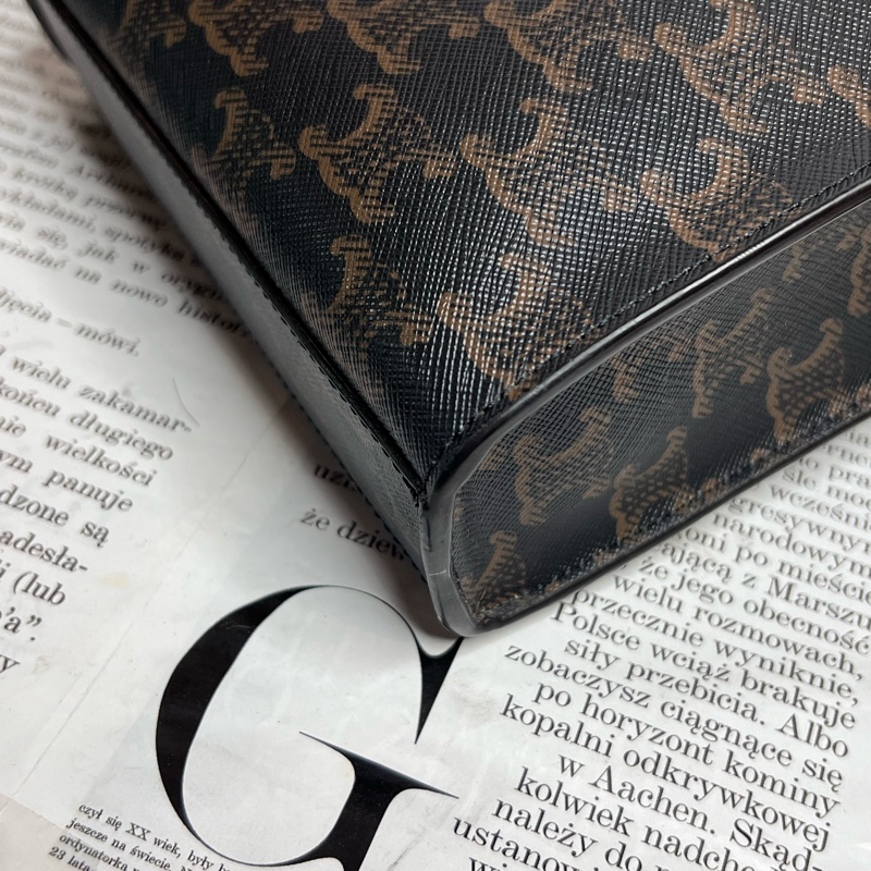 celine mini cabas 琴譜包-5