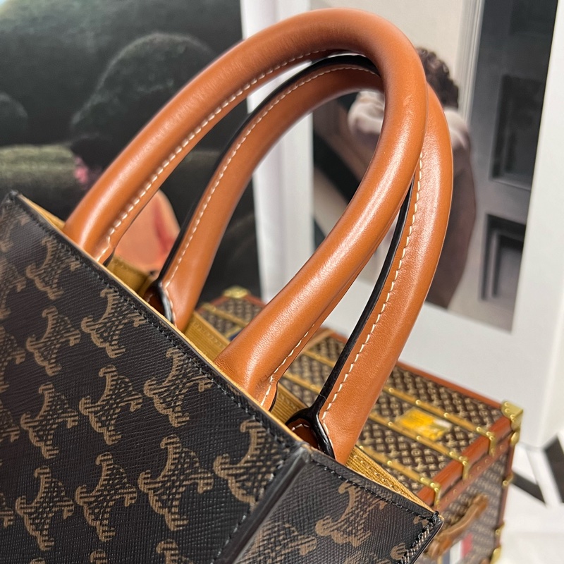 celine mini cabas 琴譜包-11