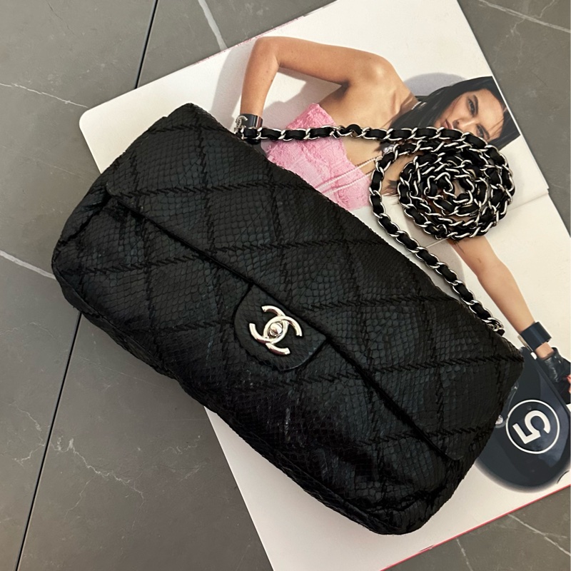 Chanel 蛇皮 flag bag   iv Prada-0