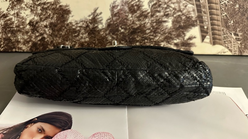 Chanel 蛇皮 flag bag   iv Prada-1