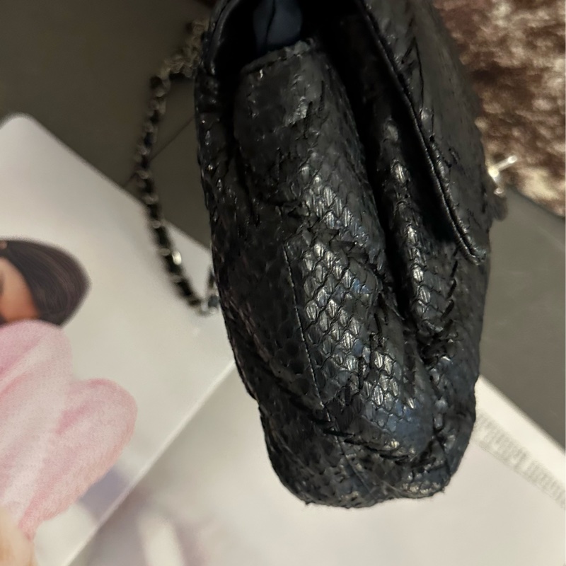 Chanel 蛇皮 flag bag   iv Prada-2