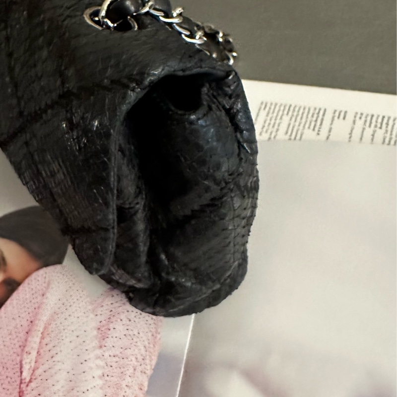 Chanel 蛇皮 flag bag   iv Prada-3