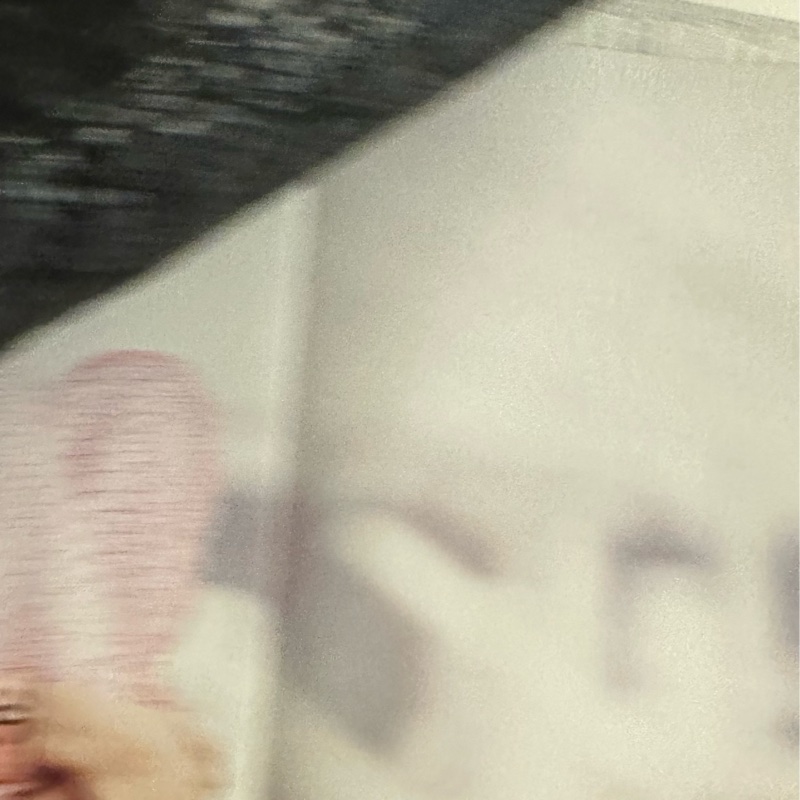 Chanel 蛇皮 flag bag   iv Prada-4