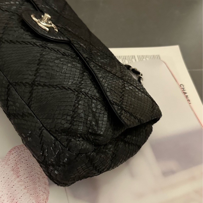 Chanel 蛇皮 flag bag   iv Prada-5