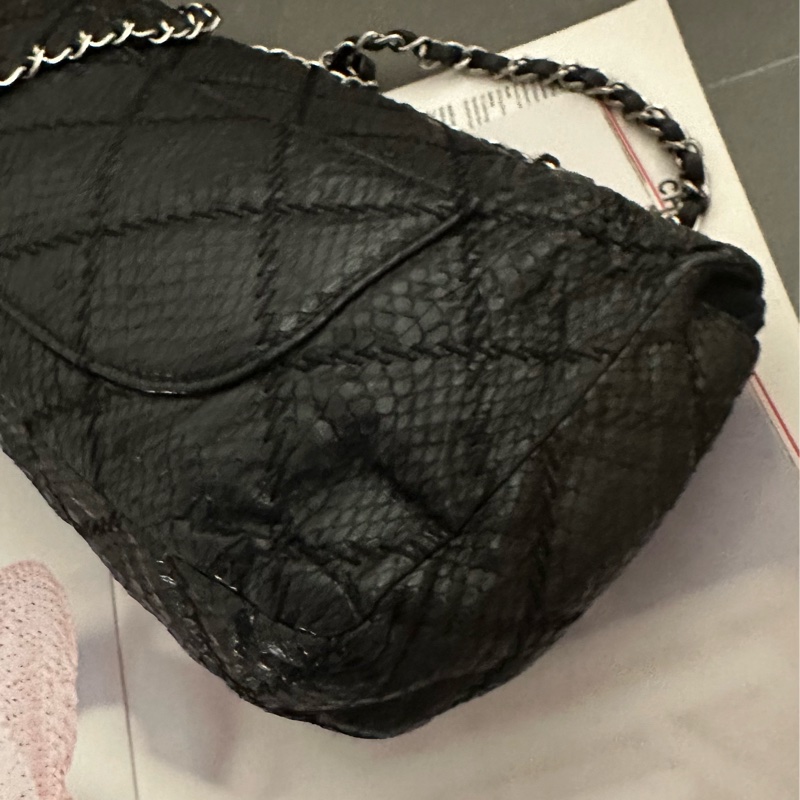 Chanel 蛇皮 flag bag   iv Prada-7