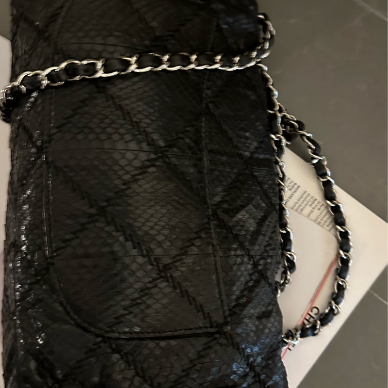 Chanel 蛇皮 flag bag   iv Prada-8