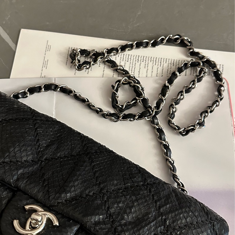Chanel 蛇皮 flag bag   iv Prada-10
