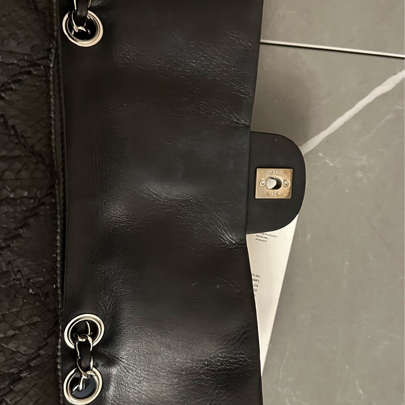 Chanel 蛇皮 flag bag   iv Prada-11