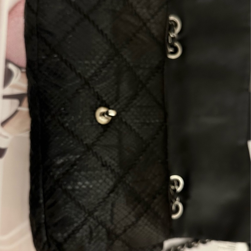 Chanel 蛇皮 flag bag   iv Prada-12