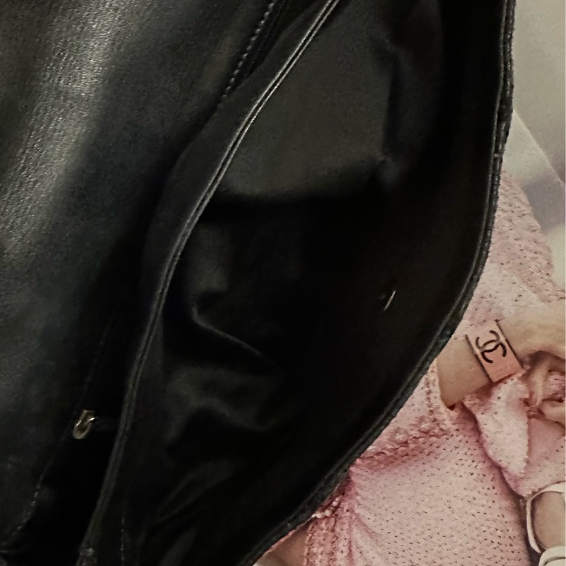 Chanel 蛇皮 flag bag   iv Prada-15