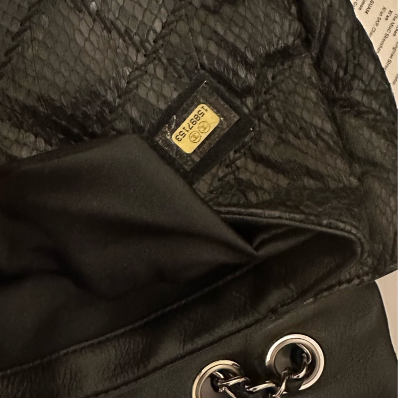 Chanel 蛇皮 flag bag   iv Prada-16