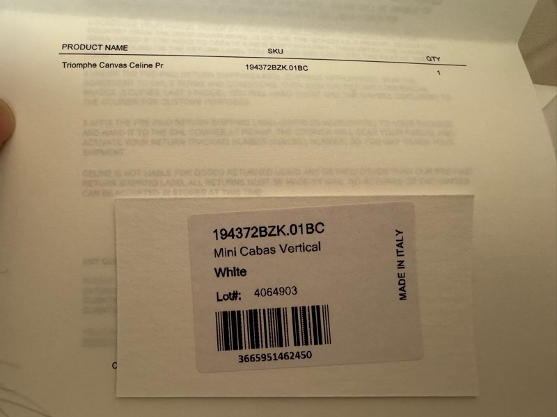 Celine TRIOMPHE帆布迷你型直式CABAS手袋 純白色-16
