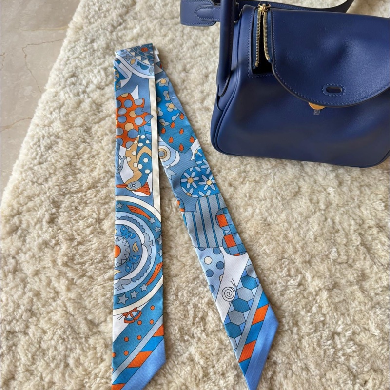 Hermes twilly 可愛貓頭鷹-1