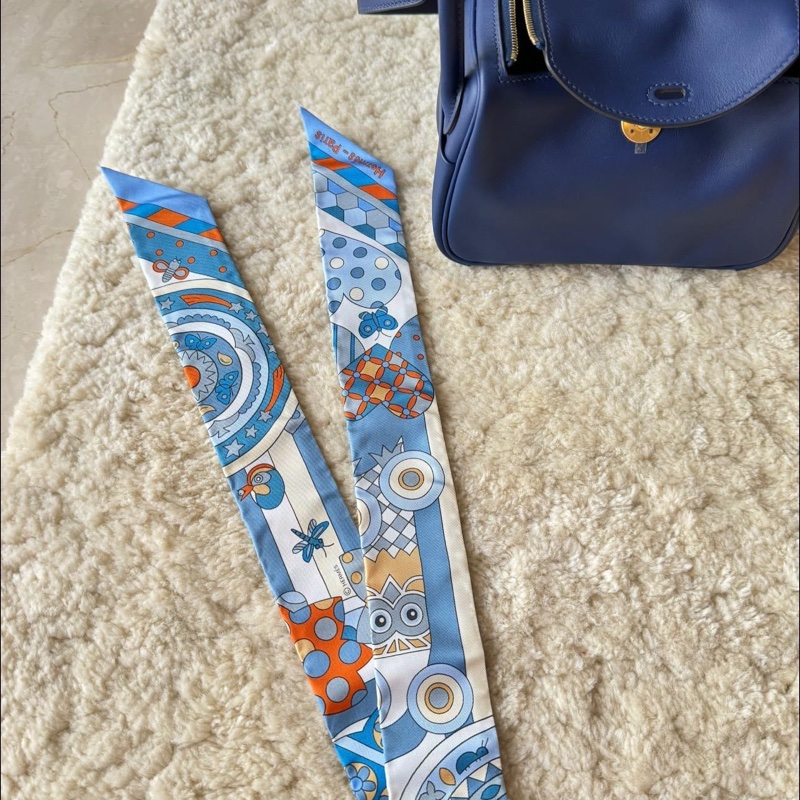 Hermes twilly 可愛貓頭鷹-14