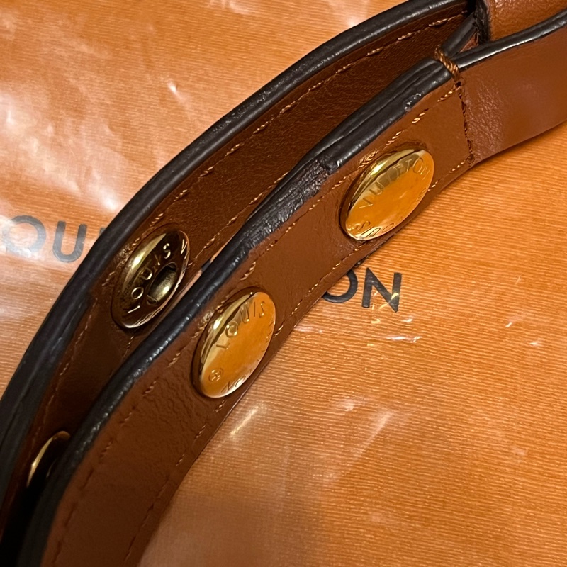 （特定客人已訂）LV M44580 DAUPHINE系列帆Reverse皮革飾邊帆布肩斜背包-20