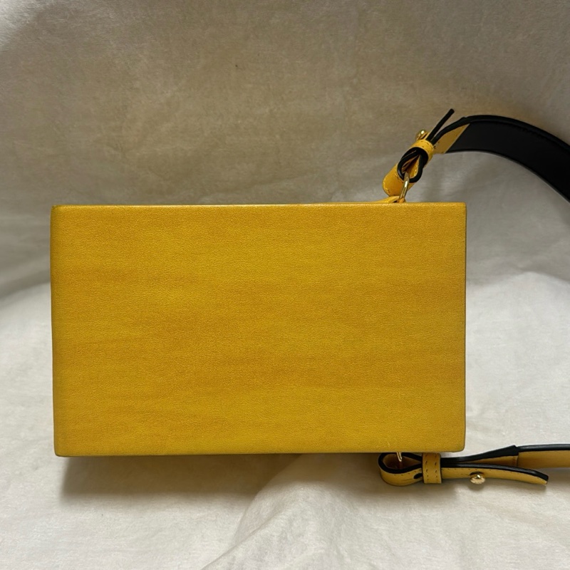 FENDI BOX 盒子包/走秀款/肩背斜跨皆可-16