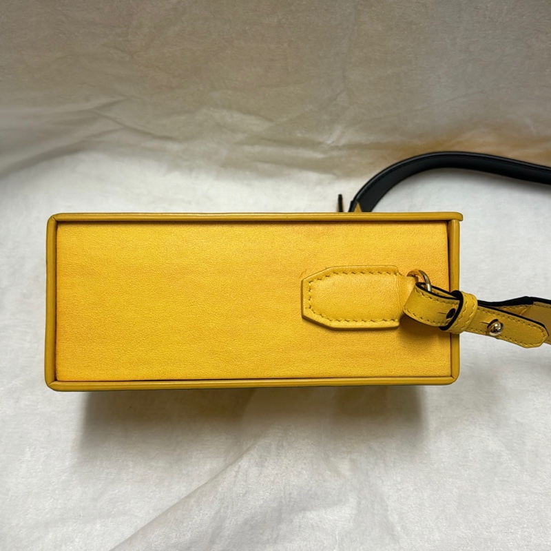 FENDI BOX 盒子包/走秀款/肩背斜跨皆可-18