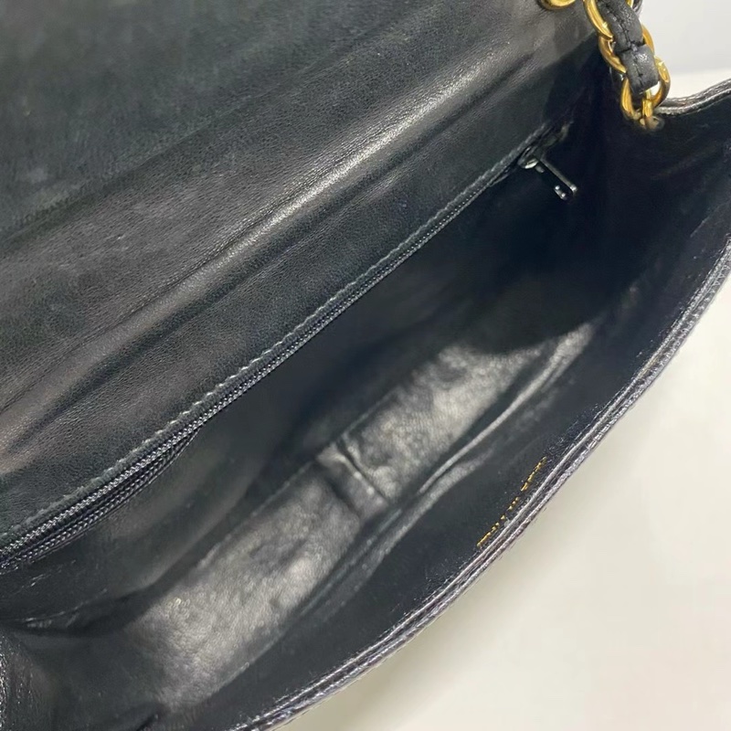 Chanel 蜥蜴皮相機包-7