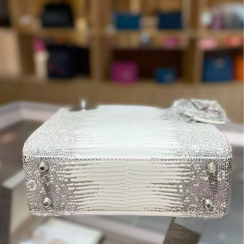 Dior 迪奧 三格 喜馬拉雅原色蜥蜴皮戴妃包銀扣 手提斜挎包-4