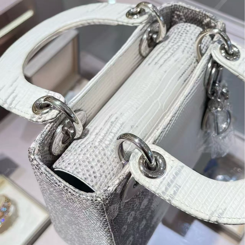 Dior 迪奧 三格 喜馬拉雅原色蜥蜴皮戴妃包銀扣 手提斜挎包-8