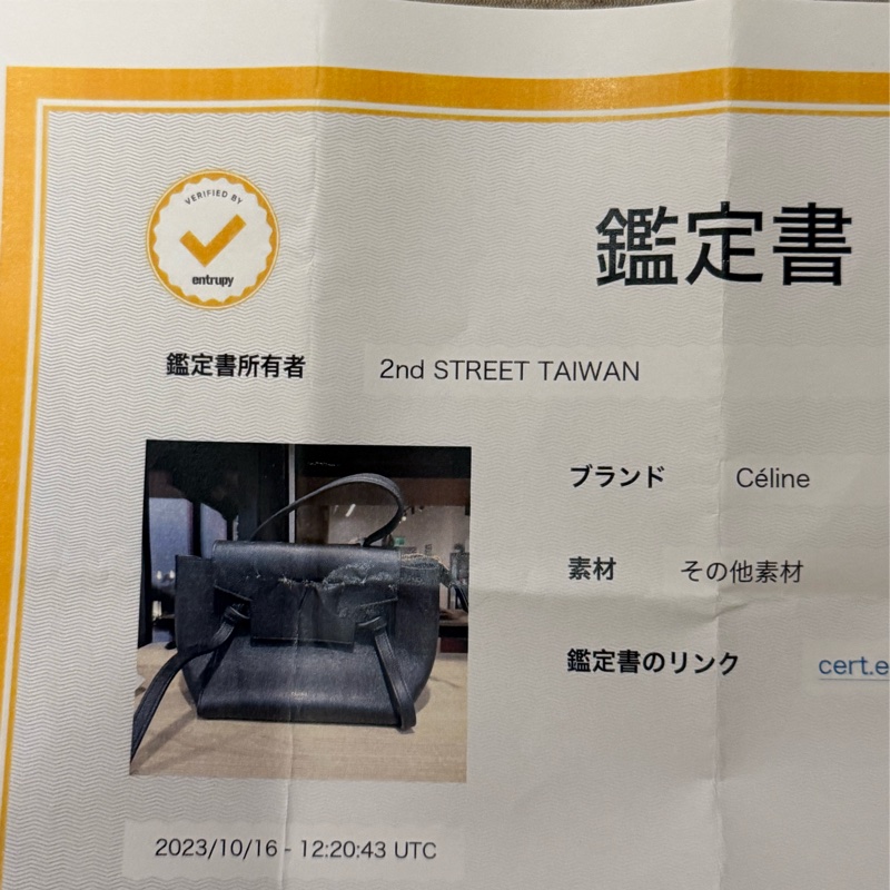 Celine Belt Nano 鯰魚包-19