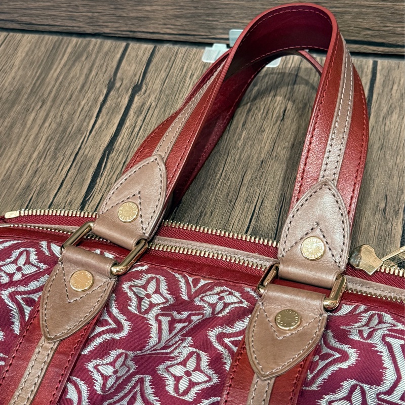 Louis Vuitton Pre-Fall 2010 Aviator Bags-1