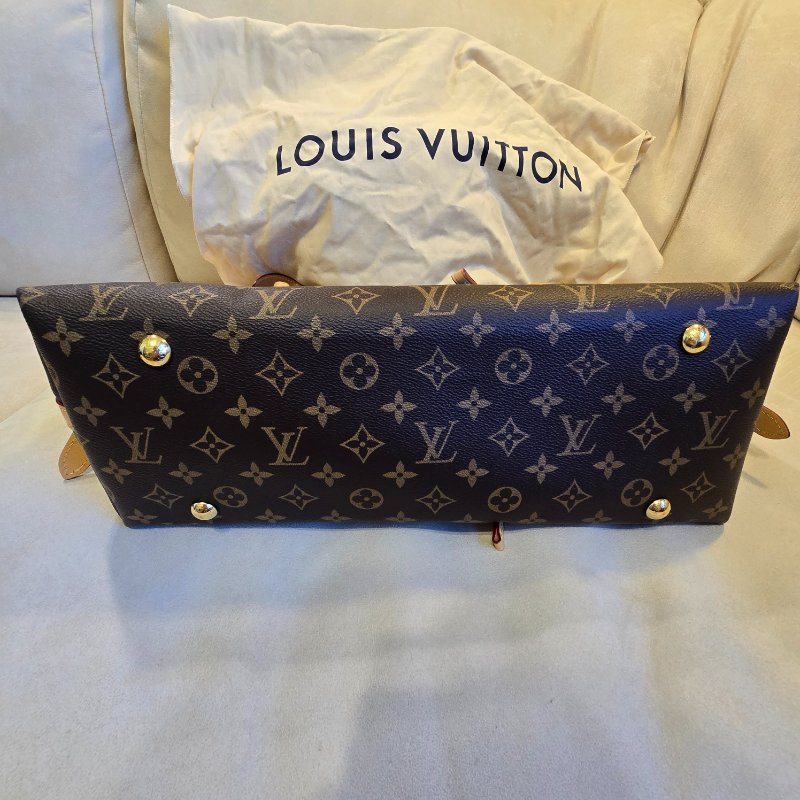 LOUIS VUITTON CarryAll MM-1