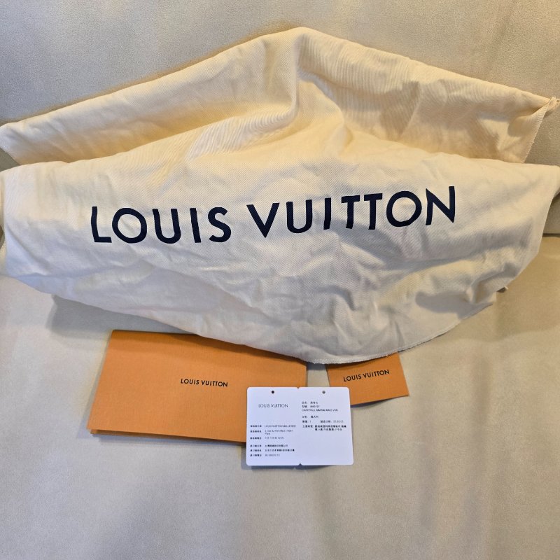 LOUIS VUITTON CarryAll MM-4