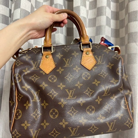LV 經典老花波士頓手提包Speedy 25