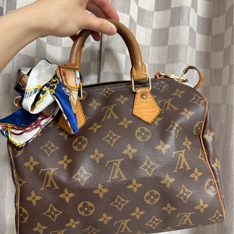 LV 經典老花波士頓手提包Speedy 25