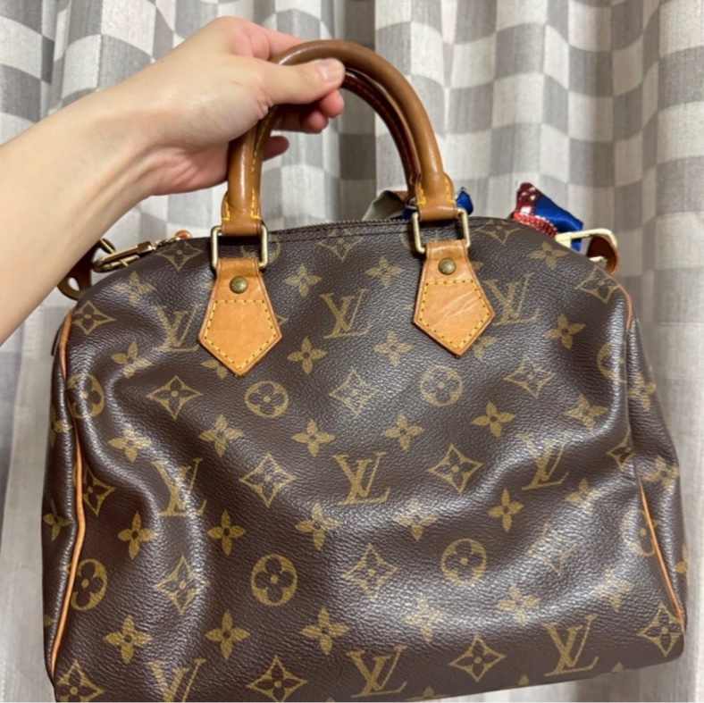 LV 經典老花波士頓手提包Speedy 25-4