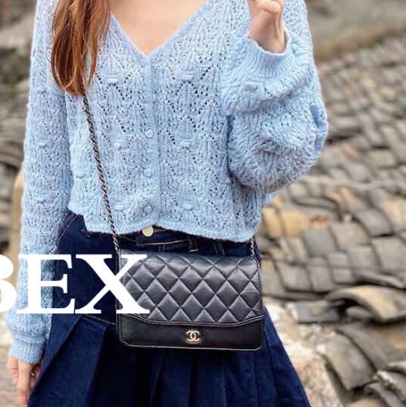 香奈兒流浪系列woc-2