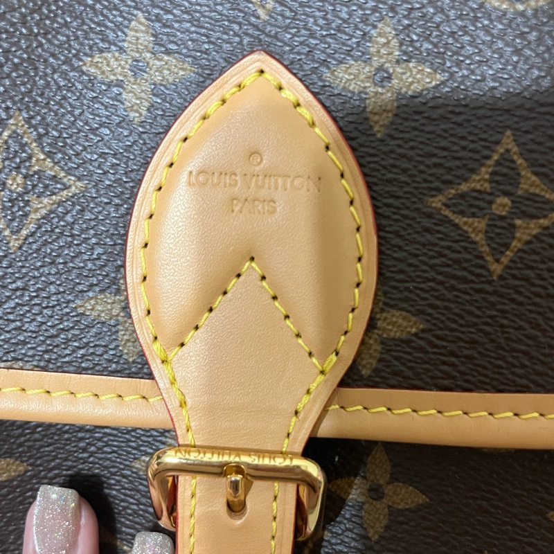 Louis Vuitton |Diane M45985 經典法棍包 ✨可小議價-1