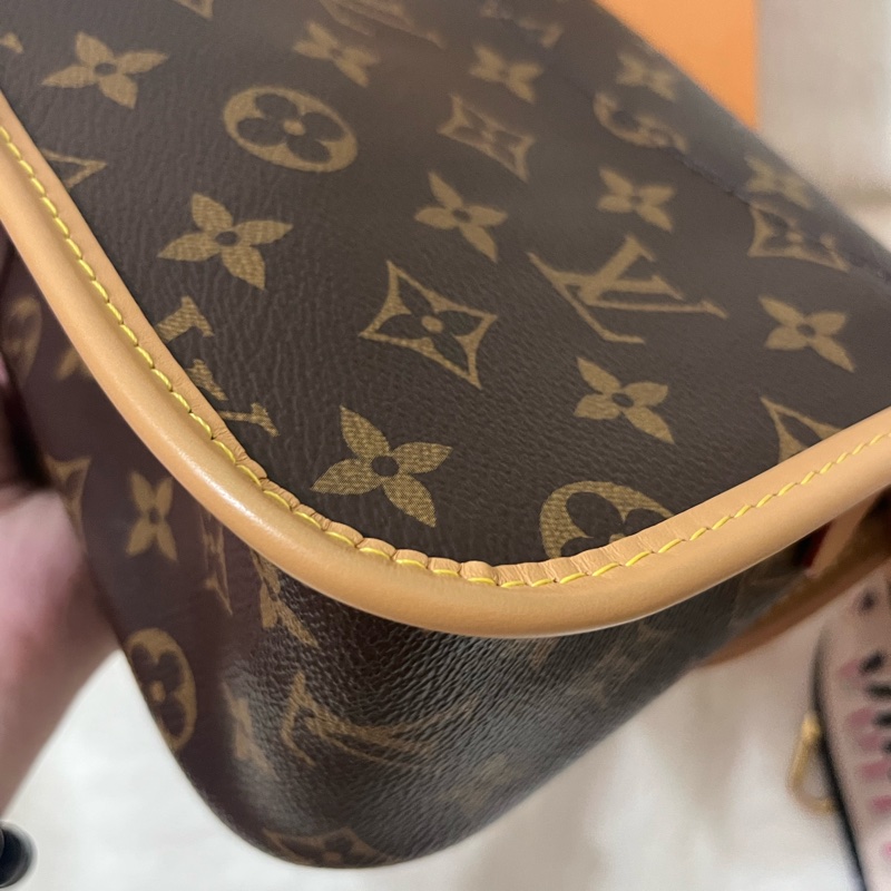 Louis Vuitton |Diane M45985 經典法棍包 ✨可小議價-12