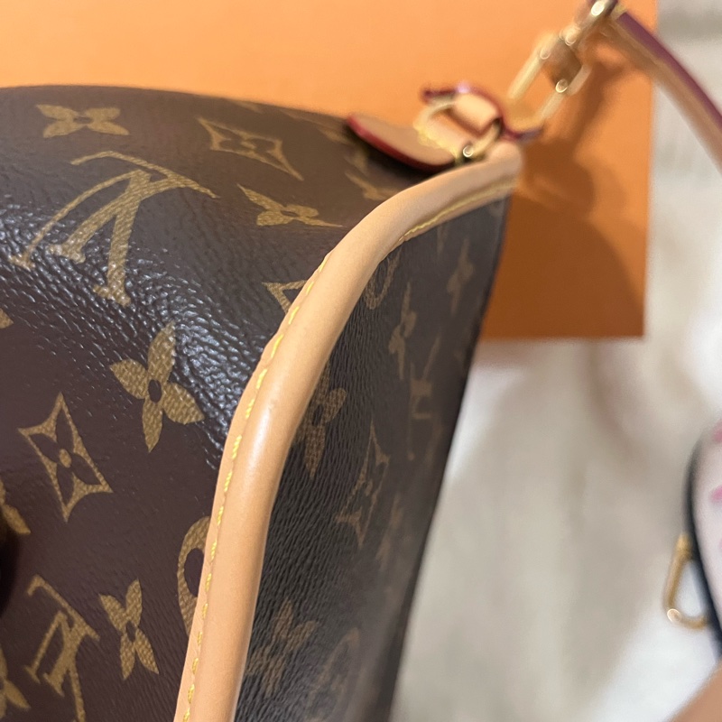 Louis Vuitton |Diane M45985 經典法棍包 ✨可小議價-13