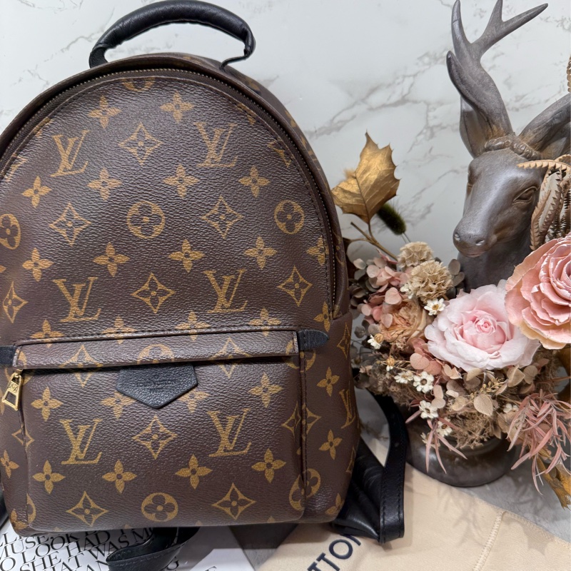 🎒✨LV 路易威登｜Palm Springs 老花背包 PM 雙肩背包 軟墊✨🎒-1