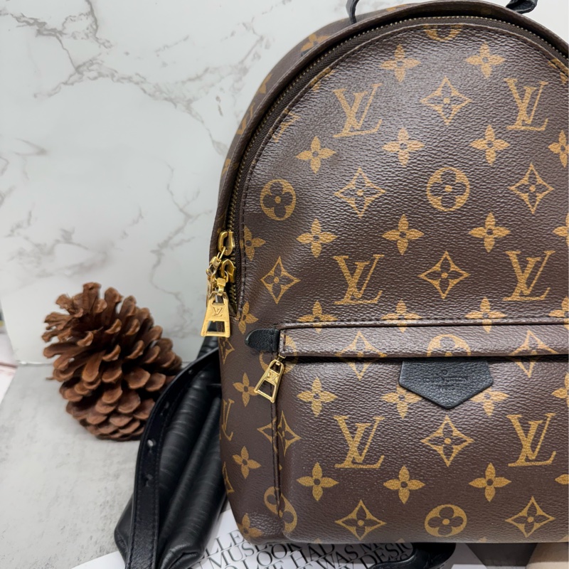 🎒✨LV 路易威登｜Palm Springs 老花背包 PM 雙肩背包 軟墊✨🎒-2
