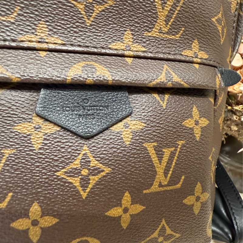 🎒✨LV 路易威登｜Palm Springs 老花背包 PM 雙肩背包 軟墊✨🎒-4