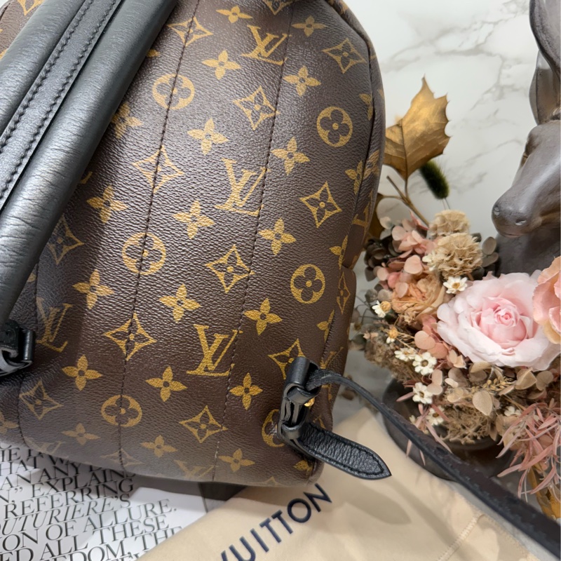 🎒✨LV 路易威登｜Palm Springs 老花背包 PM 雙肩背包 軟墊✨🎒-6